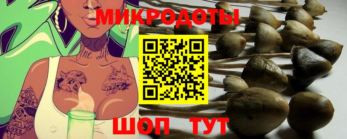 Псилоцибиновые грибы GOLDEN TEACHER  продажа наркотиков  Буйнакск  Вход с VPN  Псилоцибиновые грибы мухоморы 